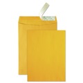 Envelopes & Mailers | Quality Park QUA41620 Redi-Strip 10 x 13 Cheese Blade Flap High Bulk Catalog Envelope - Brown Kraft (250/Carton) image number 0