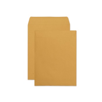 Quality Park QUA43662 Redi-Seal 9.5 in. x 12.5 in. No. 12-1/2 Cheese Blade Flap Adhesive Closure Catalog Envelope - Brown Kraft (250/Box)