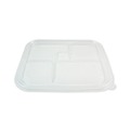 Food Trays, Containers, and Lids | World Centric TRLCSBB 12.1 in. x 9.8 in. x 0.8 in. Plastic Lids for Fiber Bento Box Containers - Clear (300/Carton) image number 0
