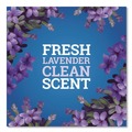 All-Purpose Cleaners | Pine-Sol 60608EA CloroxPro 80 oz. Concentrated Multi-Surface Cleaner - Lavender Clean Scent image number 8