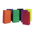 Retail Store Supplies | Pacon P0072140 6 in. x 3.63 in. x 11 in. No. 6 Size Rainbow Bags - Assorted Bright Colors (28/Pack) image number 1