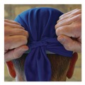 Safety & First Aid | Ergodyne 12481 Chill-Its 6615 One Size Fits Most High-Performance Bandana Doo Rag with Terry Cloth Sweatband - Blue image number 2