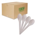  | Eco-Products EP-S013 6 in. Plantware Renewable and Compostable Spoon (1000/Carton) image number 0