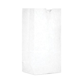 Ross & Wallace Paper Products 05007500BX 7.5 in. x 10.5 in. #30 Size Grocery Paper Bags - White (500/Carton)