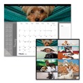 Bulletin Boards | Blueline C194116 12-Month (Jan to Dec): 2026 22 in. x 17 in. Puppies Photography Pets Collection Monthly Desk Pad - Black Binding/Clear Corners image number 1