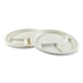 Bowls and Plates | AmerCareRoyal PL-11-NPFA 10.24 in. Diameter 3-Compartment Bagasse PFAS-Free Plate Dinnerware - White (500/Carton) image number 3