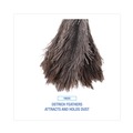 Labor Day Sale | Boardwalk BWK12GY 4 in. Handle Professional Ostrich Feather Duster image number 5