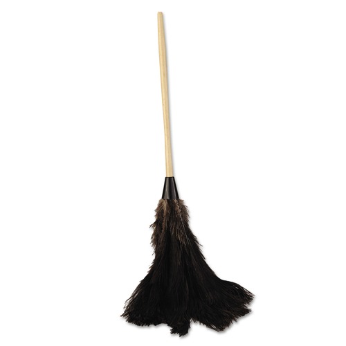 Cleaning Brushes | Boardwalk BWK28BK 16 in. Handle Professional Ostrich Feather Duster image number 0