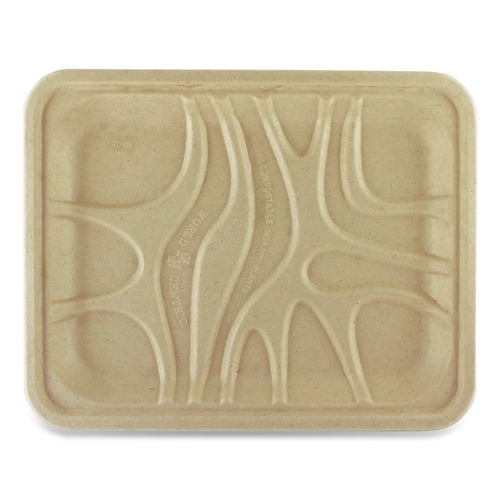 Food Trays, Containers, and Lids | World Centric TRSC4SLLF 9.1 in. x 7.1 in. x 0.7 in. PLA Lined PFAS-Free Paper Fiber Trays - Natural (500/Carton) image number 0