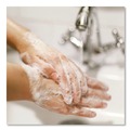 Hand Soaps | Dial Professional 1700098606 15.2 oz. Antibacterial Foaming Hand Wash - Original Scent (4/Carton) image number 3