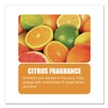 Disinfectants | Big D Industries 33700 16.5 oz PHENO D Plus Aerosol Disinfectant/Deodorizer - Citrus Scent (12/Carton) image number 3