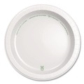 Bowls and Plates | Dixie Ultra DIX SXP10W 10 in. Diameter Heavy-Weight Paper Plates - White (4/Carton) image number 1