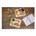 Food Trays, Containers, and Lids | Pactiv Corp. MC58000SBB Compostable Fiber Blend School Lunch Tray, 10 x 8 x 1, White, 240/Carton image number 8