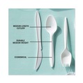 Cutlery | Pactiv Corp. YFWSWCH Fieldware Mediumweight Spoon Cutlery - White (1,000/Carton) image number 6