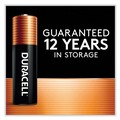 Batteries | Duracell MN1500B2Z Power Boost CopperTop Alkaline AA Batteries (2/Pack) image number 2