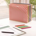 File Jackets & Sleeves | U Brands 6595U01-12 U-Eco Straight Tab Poly File Jackets - Assorted/Letter Size (10/Pack) image number 7
