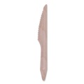 Cutlery | Eco-Products EP-S211-W Knife Wood Cutlery - Natural (500/Carton) image number 1