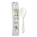 Cutlery | World Centric SO-PS-I TPLA Compostable Cutlery Soup Spoon - White (750/Carton) image number 0