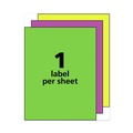 Labels | Avery 05975 8.5 in. x 11 in. High-Visibility Permanent Laser ID Labels - Assorted Neon (15/Pack) image number 5