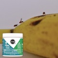 All-Purpose Cleaners | SC Johnson 329965 STEM Fruit Flies Trap 5.4 oz Jar 8/Carton image number 1