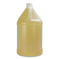 Skin Care & Hygiene | Diversified Hospitality Solutions 002287EA Terra Pure 1-Gallon Bottle Shampoo - Green Tea and Lemongrass Scent image number 1
