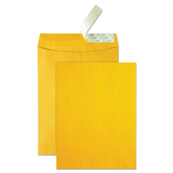 Quality Park QUA41620 Redi-Strip 10 x 13 Cheese Blade Flap High Bulk Catalog Envelope - Brown Kraft (250/Carton)