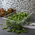 Food Trays, Containers, and Lids | Carlisle 10202B07 19.4 qt 12.5 in. x 20.75 in. x 6 in. StorPlus Polycarbonate Food Pan - Clear image number 3