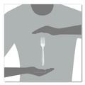Cutlery | SOLO HSWFX-0007 Impress Heavyweight Full-Length Polystyrene Cutlery Fork - White (100/Box) image number 3