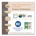 Bowls and Plates | World Centric PL-SC-U10-LFP 10.1 in. Diameter Paper Fiber Plates - Natural (800/Carton) image number 2