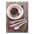  | Eco-Products EP-S011 Plantware 6 in. Compostable Knife Cutlery - Pearl White (1000/Carton) image number 2
