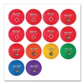 Breakroom Supplies | Champion Sports UPGSET1 Multi-Size Playground Ball Set - Multi-Color (14/Set) image number 1