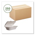 Food Trays, Containers, and Lids | Vegware WHBRG-HOAGIE 9 in. x 11 in. x 2 in. Molded Fiber Compostable Sugarcane Clamshell Containers - White (250/Carton) image number 1