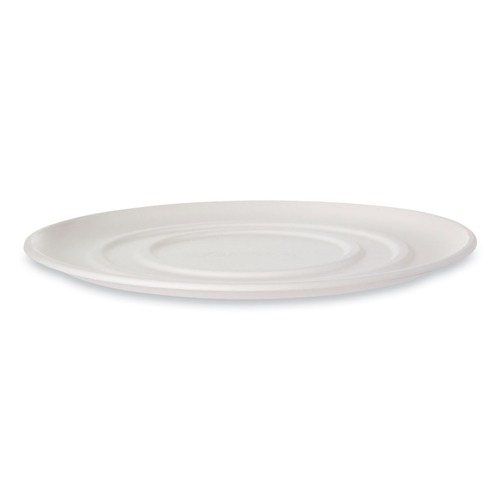 Food Trays, Containers, and Lids | Eco-Products EP-SCPTR16 16 in. x 16 in. x 0.2 in. Sugarcane WorldView Molded Fiber Pizza Trays - White (50/Carton) image number 0