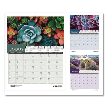 House of Doolittle 317 14 in. x 11 in. 12-Month (Jan-Dec 2026) Recycled Succulent and Cacti Wall Calendar - Multicolor Sheets