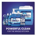 Cleaning & Janitorial Supplies | Dawn Professional 80730044 38 oz. Heavy-Duty Manual Pot/Pan Dish Detergent - Original Scent (8/Carton) image number 9