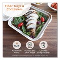 Food Trays, Containers, and Lids | World Centric TR-SC-5C-LFS 5-Compartments 8.5 in. x 10.24 in. x 1.01 in. Paper Fiber Trays - Natural (400/Carton) image number 1