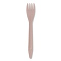 Cutlery | Eco-Products EP-S212-W General Purpose Fork Wood Cutlery - Natural (500/Carton) image number 1