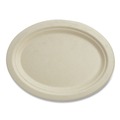 Bowls and Plates | World Centric PLSCU12OLFS 9.9 in. x 12 in. Fiber Oval Plates - Natural (500/Carton) image number 0