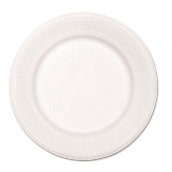 Chinet 21217 10-1/2 in. Diameter Plate Paper Dinnerware - White (500/Carton)