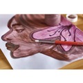 Acrylic & Tempera Paint | Crayola 54-1216-007 16 oz Premier Tempera Paint - Brown image number 4