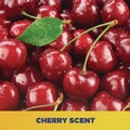 Hand Soaps | Zep Commercial 95124 1 gal. Bottle Cherry Bomb Hand Cleaner - Cherry Scent (4/Carton) image number 7