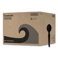  | Boardwalk BWKSPOONHWBLA Heavyweight Polystyrene Teaspoon Cutlery - Black (1000/Carton) image number 0