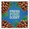 All-Purpose Cleaners | Pine-Sol 60606EA CloroxPro 80 oz. Concentrated Multi-Surface Disinfectant Cleaner - Original Pine image number 9