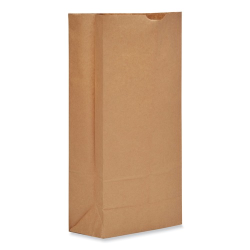 Food Service | Ross & Wallace Paper Products 130325SP 8.25 in. x 5.38 in. x 18 in. #25 Heavy-Duty Grocery Paper Bags - Kraft (500/Bundle) image number 0