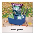 Boxes & Bins | Storex 00948E06C Large Storage Caddy, 11 x 13 x 6.38, Assorted Colors, 6/Carton image number 7
