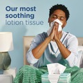 Paper Towels and Napkins | Puffs 80337535 2-Ply Plus Lotion Facial Tissue - White (24 Boxes/Carton) image number 5