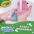 Arts & Crafts Supplies | Crayola 54-2016-044 16 oz. Bottle Washable Paint - Green image number 4