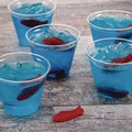 Just Launched | Dart TP9R Ultra Clear 9 oz. Squat PET Cups (50/Bag, 20 Bags/Carton) image number 4