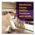 All-Purpose Cleaners | Simple Green 3400000130505 5 Gallon d Pro 5 Disinfectant - Unscented image number 2