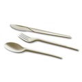 Cutlery | WNA EPS003 7 in. EcoSense Renewable Plant Starch Cutlery Spoon (50/Pack) image number 2